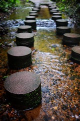 DSC_0194.jpg