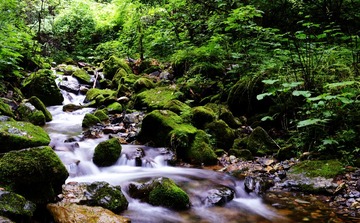 DSC_0388.jpg