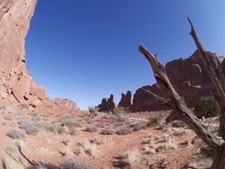 IMGP2929.jpg