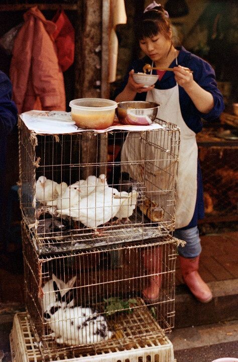 CONTAX ZEISS 50 1.4<br />
十八梯附近