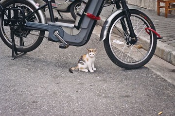 CONTAX蔡司50/1.4