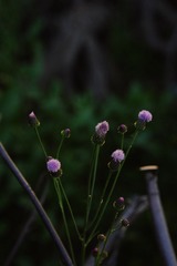 E0DE0D8C-4FCD-4113-8C46-43311D0570DC/L0/001