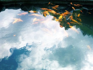 09052011667.jpg