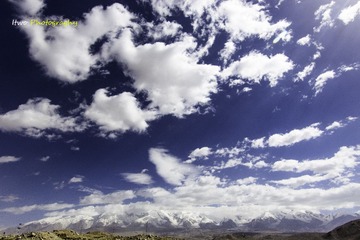IMG_0089.jpg