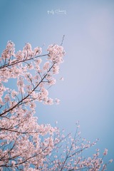1508639