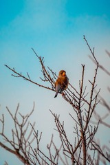 D1264927-5D08-4E74-BD52-3278823CF76A/L0/001