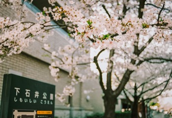 1B29BAF2-F09D-4680-A174-1B52B5BD172F/L0/001
