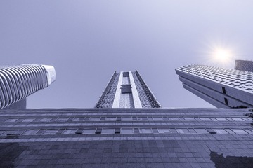 DSC_7018 1