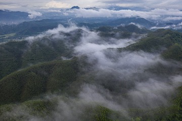 DJI_0689