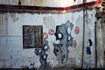 IMG_5517_