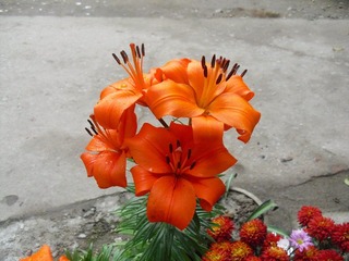 未识名(1)