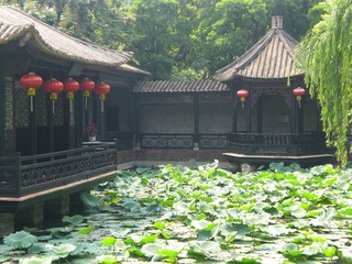 荷花池