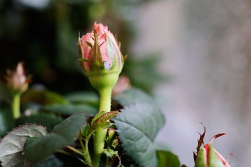 03A1B3BF-ACC9-4574-B6DB-DE69D7880AC5/L0/001
