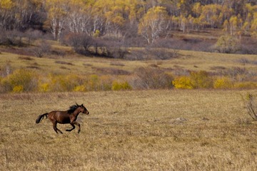 IMG_7442.jpg