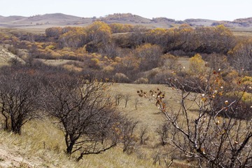 IMG_7522.jpg