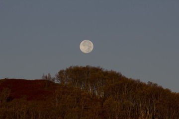 IMG_8018.jpg
