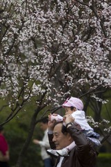 IMG_0046.jpg