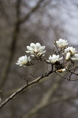 IMG_9908.jpg