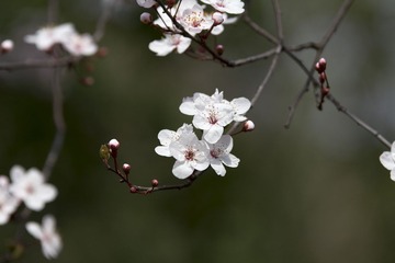 IMG_9958.jpg