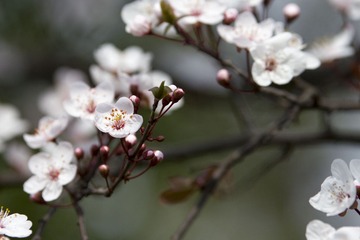 IMG_9961.jpg