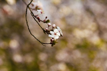 IMG_9993.jpg