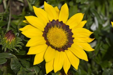 IMG_0322.jpg