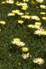 IMG_0330.jpg