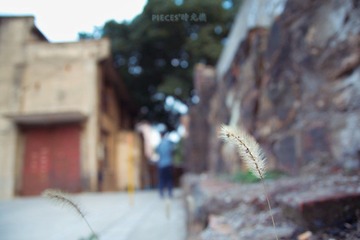 DSC02710.jpg