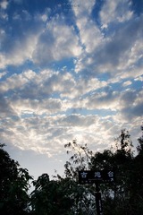 DSC02667-2.jpg