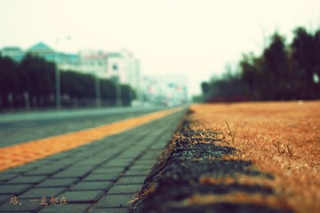 P2054815-1.jpg