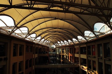 P2185295.jpg