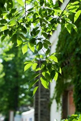 P4287658.jpg