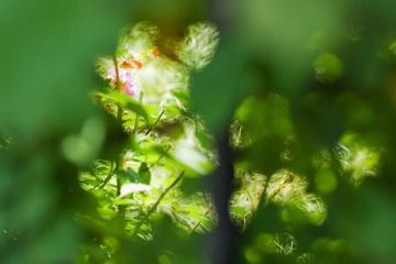 P4287669.jpg