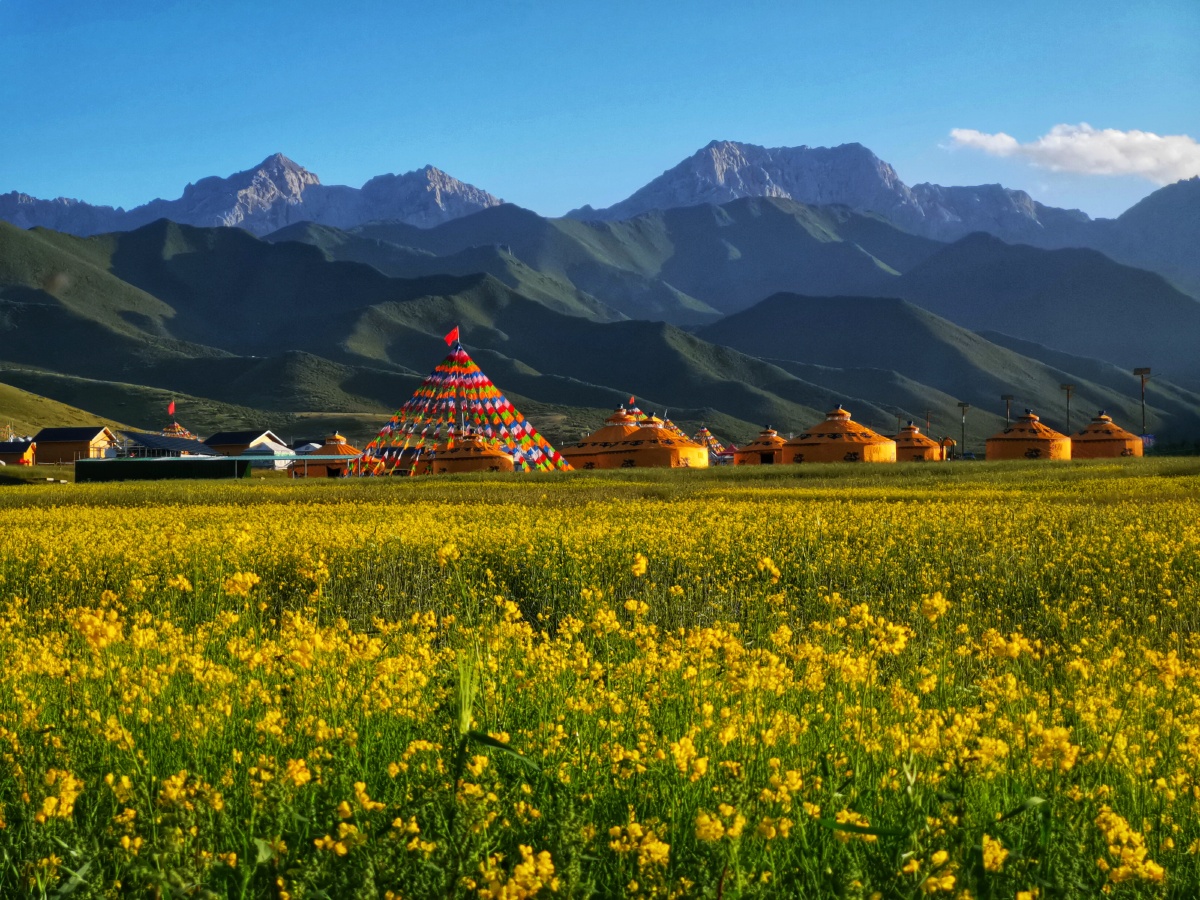 初秋的天祝抓喜秀龙草原