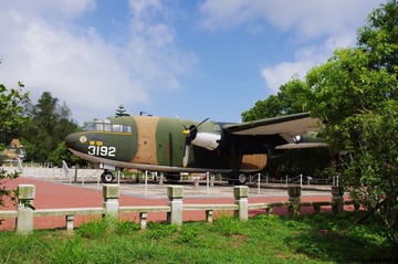 中山纪念林内