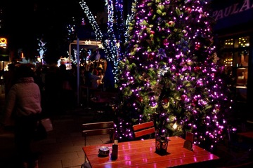 IMG_0117.JPG