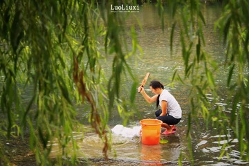 IMG_3921.JPG
