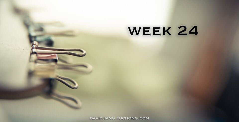 Week 24<br />
Sometimes you look at all the pieces on the ground and you realize that it's not a puzzle anymore. That no matter how much you think or care, you will never put it back together again.