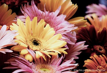 Funeral Flowers