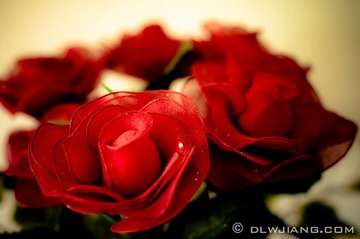 False Bouquet