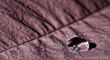 Droplet