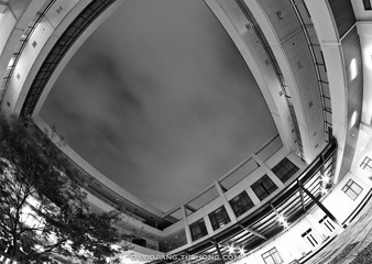 pic-3.jpg