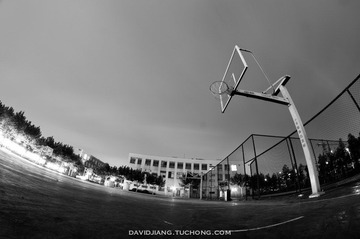 pic-7.jpg