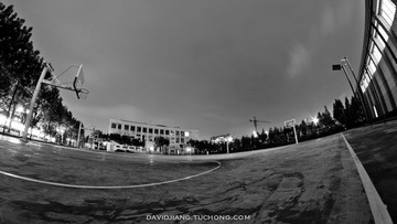 pic-8.jpg
