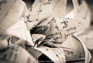 DSC02411-2.jpg