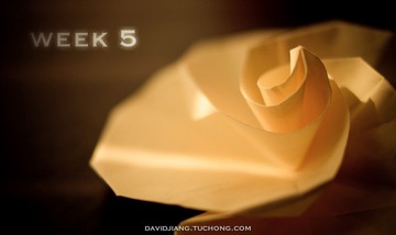 week5.jpg