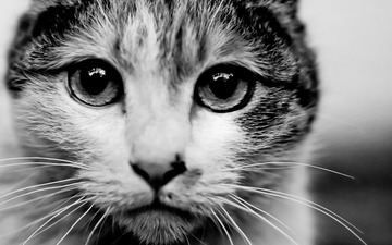 untitled-49-Edit.jpg