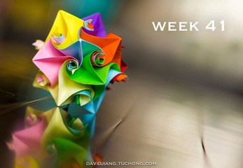 Week 41.jpg