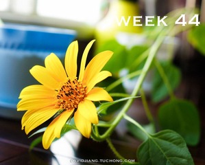 Week 44.jpg