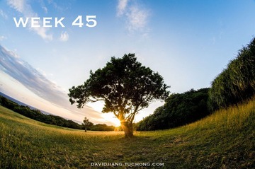 Week 45.jpg